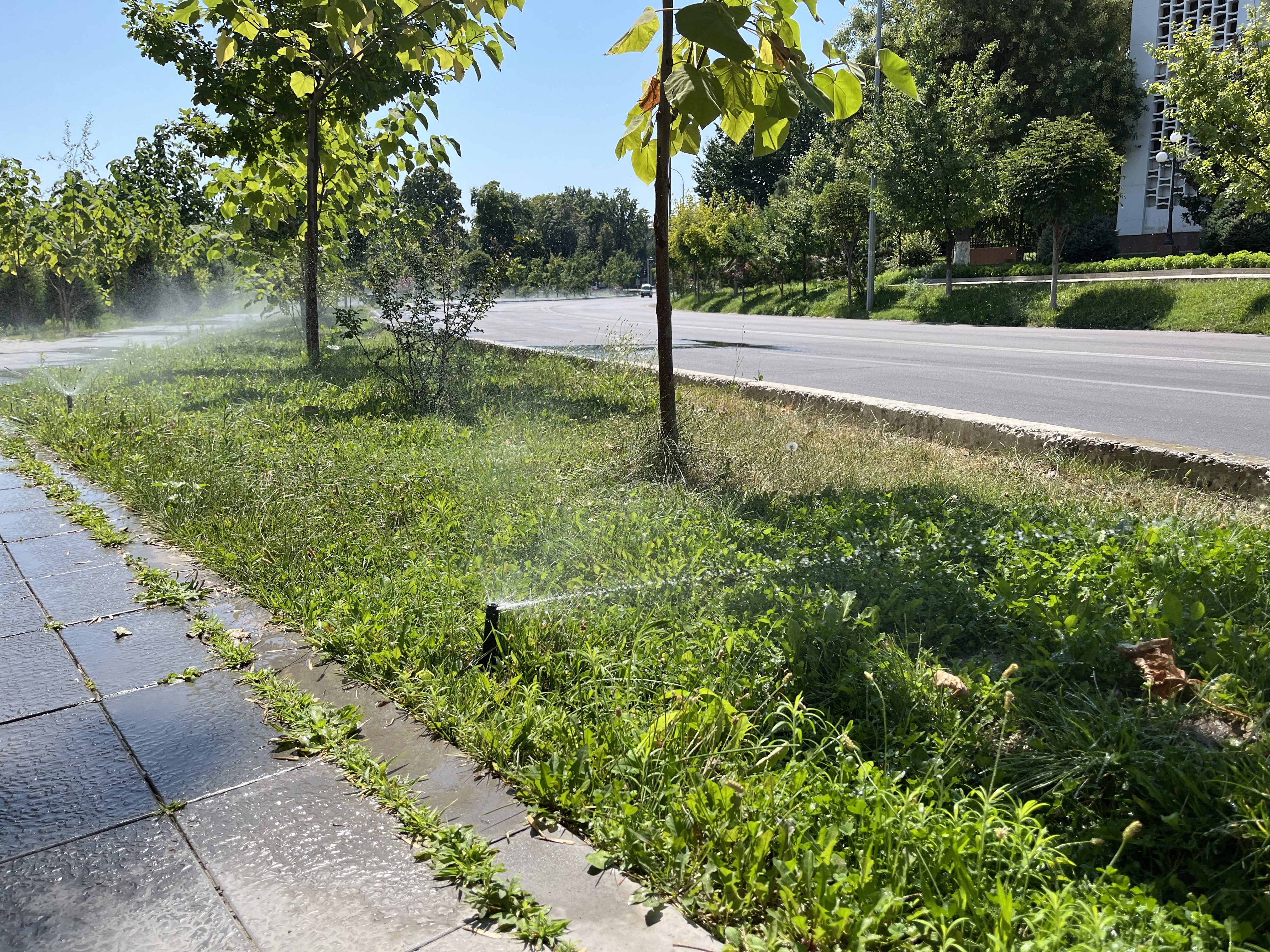 Sustainable Water Management at TSUULL